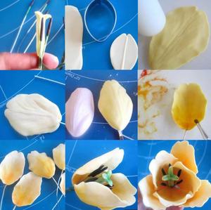 4 St/Pack  Gumpaste Fondant Utstickare  Blomma  Tulip  4 PCS/Set Fondant Gumpaste Flower Cutter Tulip