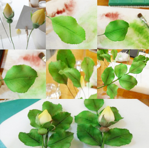 4 St /Pack Rosblad Utstickare 4 PCS/Set Fondant Gumpaste Orchid Rose Leaves